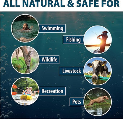 Airmax Pond Dye Packets Nature's Blue Colorant for Large Pond & Lake, Beneficial UV Blocking Color Concentrate, Maintain Clean & Clear Water, Fish & Animal Safe, 16 Soluble Packets