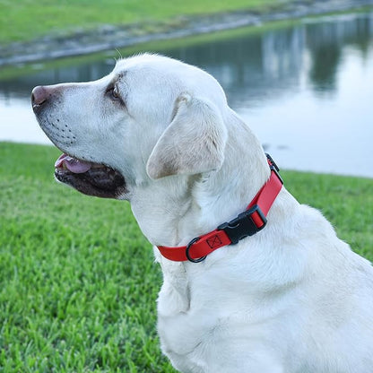Dogline Biothane Waterproof Dog Collar with Quick Release Buckle Strong Coated Nylon Webbing with Odor- Proof for Easy Care Easy to Clean Fits Small Medium or Large Dogs, Red 3/4" W 12-19" L