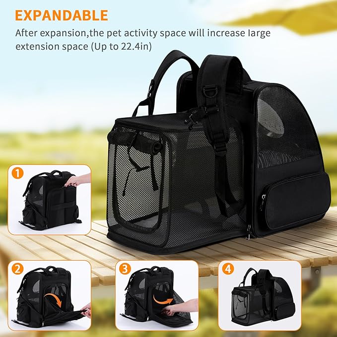 Expandable Pet Carrier Backpack with Transparent Bubble Window, Gray Mesh Travel Bag, Portable Space Capsule Design with Foldable Dogs Carrier for Pets (Black)