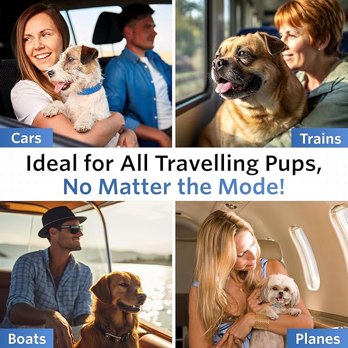 Anti-Motion Sickness and Nausea Relief for Medium Breed Dogs, Relief for Disorientation and Dizziness, 20 Tablets