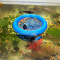 Aquarium Floating Betta Fish Skins, Betta or Shrimp Feeder, Cave and Hammock, Small Fish Feeding Rings, Aquarium Hiding Feeding Decorative Accessories (Blue)