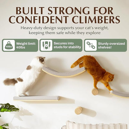 2-Pack Sisal Wall-Mounted Cat Climbing Wall Steps, Cat Wall Steps/Stairs with Sisal Scratching Surface, Wall Shelf Furniture for Climbing & Play for Kittens & Cats, Hidden Mounts