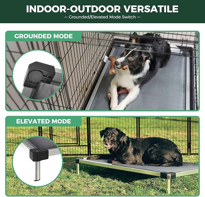 FXW TitanNest Chew-Proof Elevated Dog Bed, Raised Cot for Indoor/Outdoor/Camping Use, Durable & Washable Padded Pet Bed for Medium Dogs, 41.0" L x 27.0" W x 5.0" H, Black