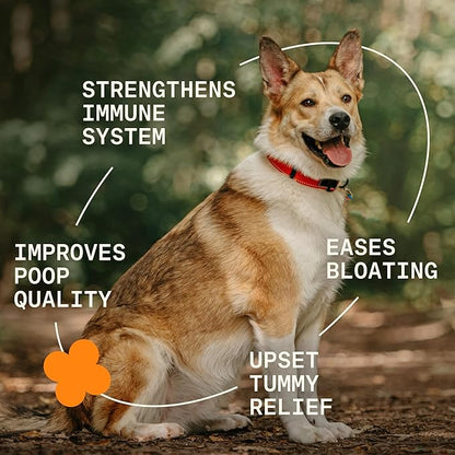 5-in-1 Dog Probiotic Powder – 100% Natural Gut Health Support with Prebiotics, Postbiotics & Enzymes – Crafted by Dog Nutritionist Kayla Kowalski, Made in USA – 30 Scoops