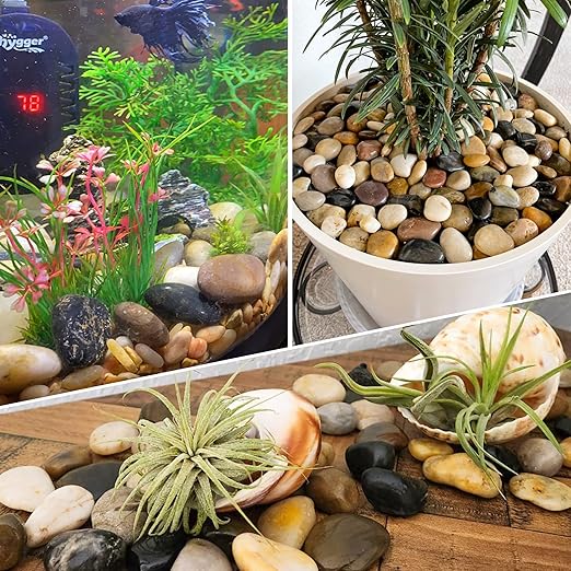 18LB 1"-2" Decorative River Rocks for Plants, Polished Pebbles for Garden Landscaping, Planters, Aquariums, Vase Fillers – Indoor & Outdoor Decor