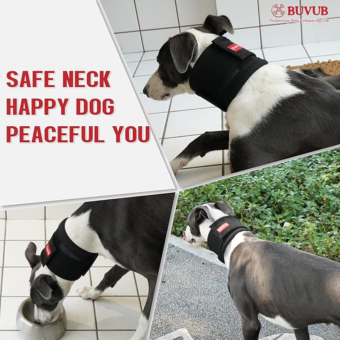 Adjustable Dog Neck Brace for Neck Pain & Injury Relief - Soft & Comfortable Support Collar for Dogs for Recovery After Surgery or Injury(XLarge)