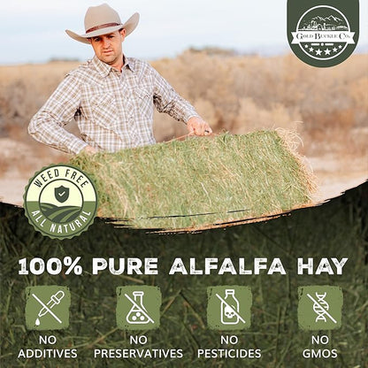 20lb Freshly Dried Organic Alfalfa Hay for Guinea Pigs, Rabbits, Chinchillas, Goats, Hamsters & Ferrets, Small Animal Food Rich in Protein & Fiber, Hand-Selected, Hand sorted, USA Grown