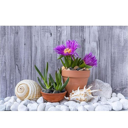 40lbs White River Rocks for Landscaping, 3-4 Inch Large Natural Unpolished Bulk Pebbles, Hand-Picked Premium Stones for Garden Design Fish Tank, Pathways and Backyard