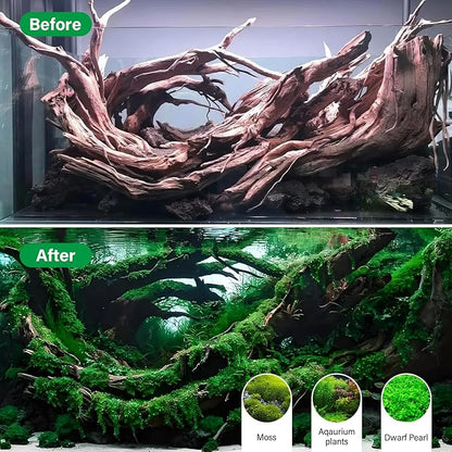 Driftwood for Aquarium Natural Aquarium Wood for Aquascaping Fish Tank Decorations Reptile Tank Decor (Natural Driftwood 6-10" (Pack of 3))