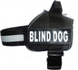 Doggie Stylz Blind Dog Vest Harness with Removable Patches and Reflective Trim. Comes with 2 Blind Dog Reflective Hook and Loop Patches. Measure Dogs Girth Before Purchase (Girth 30”- 42" Black)