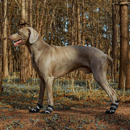 Dog Shoes, Waterproof Dog Boots & Paw Protectors with Anti-Slip Sole, 4pcs/Set Pet Dog Booties, Reflective Dog Shoes for Small Medium Large, Winter Snowy Summer Hot Pavement (Black, 4# (S))