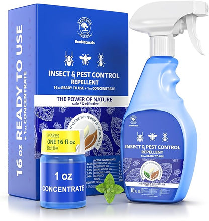 All Natural Bug Spray for Home – Non- Toxic Peppermint Oil Spray for Insect and Pest Control Kit - 16 oz Ready-to-Use Bug Spray 2 Bottle Value – 16 oz + 1oz - Spider Repellent Indoor