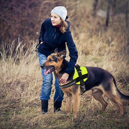Dogline Dog Harness, Reflective No-Pull Adjustable Vest with Handle for Walking, Training, Breathable, No - Choke Harness for Small, Medium or Large Dogs Room for Patches Girth 33"-46" in Lime Green