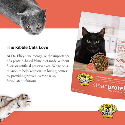 Dr. Elsey's Cleanprotein Salmon Formula Dry Cat Food, 6.6 Lb