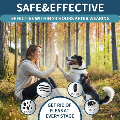 Flea and Tick Collar for Dogs 4 Pack, 32 Months Prevention, Waterproof, Adjustable for Small Medium Large Dogs Puppies (Black and Grey)