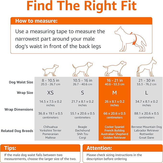 Amazon Basics Male Dog Diapers, 30 Count, Medium, Ultra Absorbent Disposable Wrap with Secure Fit, Leakproof and Comfortable