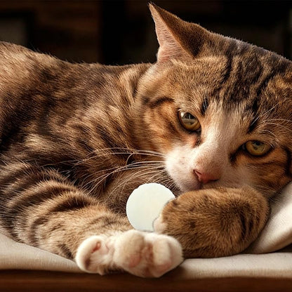 50 Pcs Cat Toy Balls 1.2-inch Colorful Cat Pom Pom Balls Soft Interactive Kitten Ball Cats Exercise Toys Fuzzy Kitten Interactive Playing Quiet Toy for Cats Pet