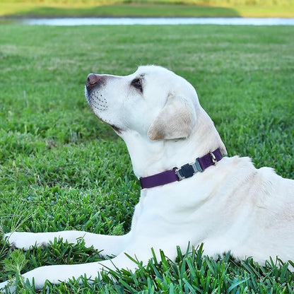 Dogline Biothane Waterproof Dog Collar with Herm Sprenger Stainless Steel Quick Release Buckle – Heavy Duty Tactical Durable Collar for Dogs – Comfortable and Safe Pet Collar, W 1" L 15-25", Purple