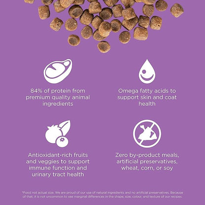 Go! Solutions Carnivore, Grain-Free, Protein Rich Dry Cat Food, Chicken, Turkey and Duck Recipe, 8 lb Bag