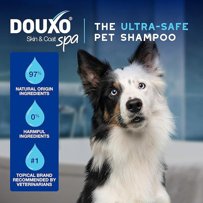 DOUXO® Skin & Coat SPA - Ultra-Safe Quick Refresh Leave-on Mousse for Dogs, 10 fl oz, Safely Cleans and Refreshes, Leaves The Coat Soft, Radiant and Smelling Great, Skin-Friendly Formula