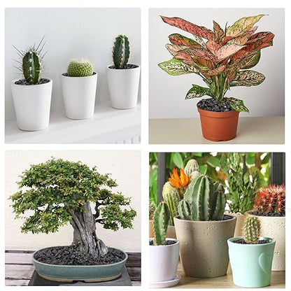 5 lbs Pebbles for Indoor Plants, Succulent, Cactus, 1/5 Inch Small Lava Rock for Plants Drainage, Natural Horticultural Volcanic Rock, Top-Dressing