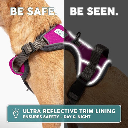 Embark Adventure Dog Harness, Reflective Trim No Pull Dog Harness Medium Sized Dogs - Military Grade Nylon, Front Clip with Gel Lined Handle.