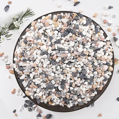 5 lbs Small Rocks for Plants, 1/5 Inch Pebbles for Indoor Plants, Natural Decorative Pea Gravel for Aquarium, Fish Tank, Terrarium, Succulents, Bamboo Plants, Vases, Cactus, Crafts