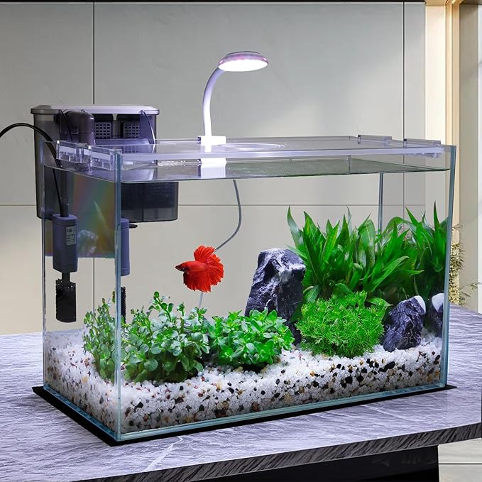 3 Gallon Glass Small Fish Tank, Betta Fish Tank Starter Kit with Filter, Lights,Lid.