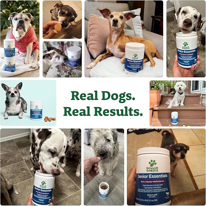 Doggie Dailies Senior Essentials Multivitamin for Dogs Soft Chews | Advanced Dog Multivitamin | Nutritional Support for Joints, Skin & Coat, Digestion, and the Immune System | Bacon Flavor | 120 Count