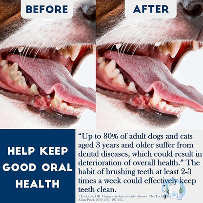 200 Pcs Dog Toothbrush Cat Tooth Brushes Bulk, Double Sided Brushing Kit, Teeth Cleaning Kit Soft Bristles Long Handle, Pet Tooth Brush for Small to Large Dog, Cat, Puppy & Kitten, 10 Colors