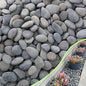 18LB River Rocks,Mexican Beach Pebbles for Plants,Potting,Garden Landscape Stone Paving Stone Grey 1Inch - 2Inch