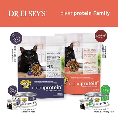 Dr. Elsey'S Cleanprotein Salmon Formula Dry Cat Food, 2 Pound (Pack of 1)