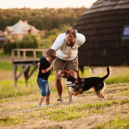 Dogline Dog Harness, Reflective No-Pull Adjustable Vest with Handle for Walking, Training, Breathable, No - Choke Harness for Small, Medium or Large Dogs Room for Patches Zebra Black/Red XL 33"-46"