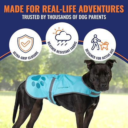 Dog Reflective Vest – Hi-Vis Fluorescent Visibility That Helps to Safeguard Your Pet On/Off Leash in Urban & Rural Areas (Teal, Medium)