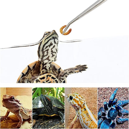 Feeding Tongs 2pcs Stainless Steel Aquarium Long Tweezers 27cm/10.6 inches Straight Curved Tweezers for Fish Tank Aquatic Plants Reptile Lizard Gecko Snake Spider Bird