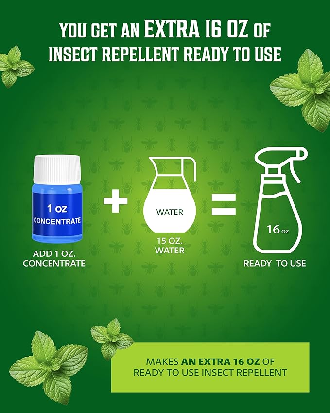 All Natural Bug Spray for Home – Non- Toxic Peppermint Oil Spray for Insect and Pest Control Kit - 16 oz Ready-to-Use Bug Spray 2 Bottle Value – 16 oz + 1oz - Spider Repellent Indoor