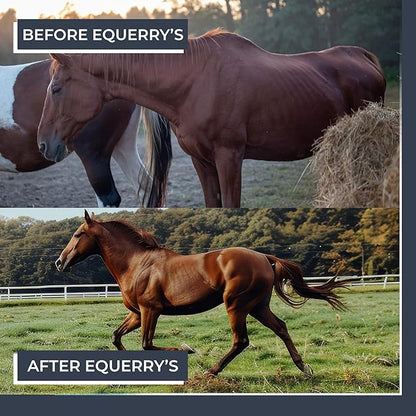 Equerry's Combined RX 4 Way | Equine Nutritional Support | Complete Formula | Digestive and Joint Support | Hoof & Hair | Probiotics Vitamins & Minerals 160 Feedings, 20lb.