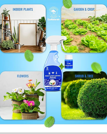 All Natural Bug Spray for Home – Non- Toxic Peppermint Oil Spray for Insect and Pest Control Kit - 16 oz Ready-to-Use Bug Spray 2 Bottle Value – 16 oz + 1oz - Spider Repellent Indoor