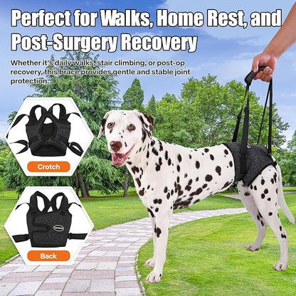 Dog Sling for Medium Large Dog Rear Leg, Lift Harness Provide Support with Muscle Atrophy and Joint Problems for Elderly Injured Arthritic Pet, Dog Weak Rear Legs Provides Rehabilitation Aid