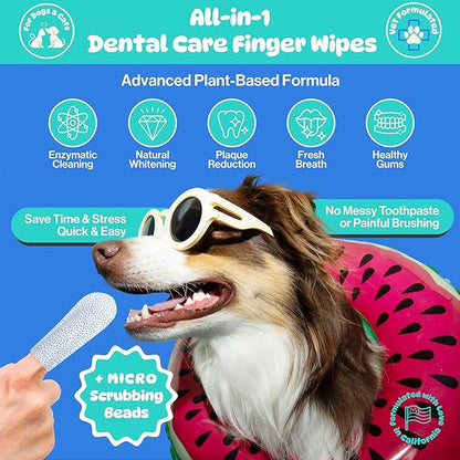All-in-1 Dog Teeth Cleaning Wipes | Enzymatic Whitening + Premium Scrubbing Beads | No Mess, Pet Dental Wipes & Finger Tooth Brushing Kit | Plant-Based Dental Care for Cats & Dogs (60 Count)