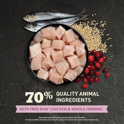 ACANA Dry Cat Food for Kittens First Feast Chicken and Fish 7lb Bag