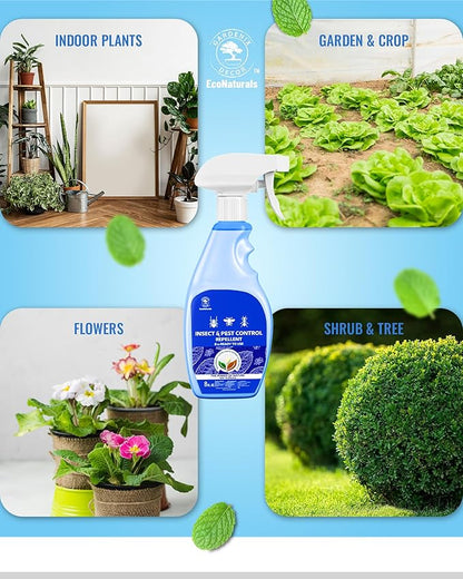 All Natural Bug Spray for Home - Non-Toxic Peppermint Oil Insect and Pest Control Kit - 8 oz Ready-to-Use Bug Spray - Indoor and Outdoor Protection- Ant Spray - Spider Repellent Indoor