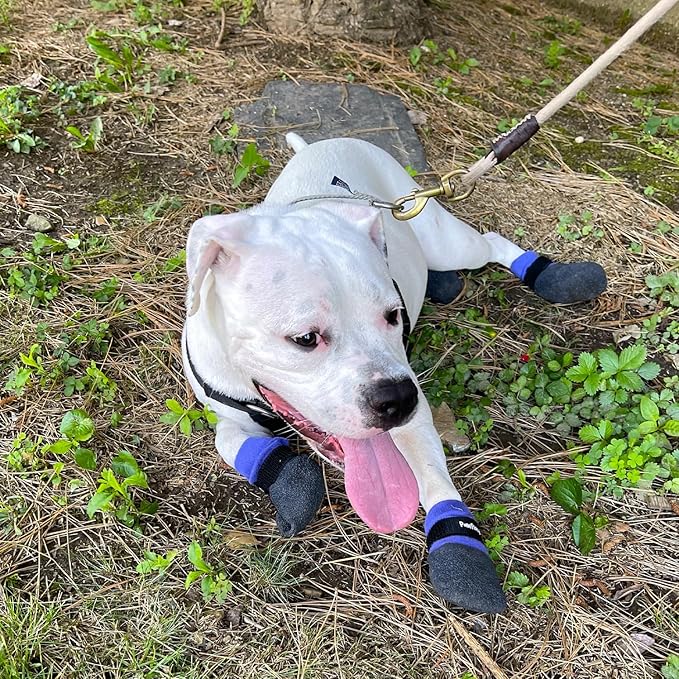 Double Dipped Thick Textured Waterproof Cotton Dog Socks | PawFlex Comfy Pawz Soft Indoor/Outdoor Pet Booties | Non-Slip Silicone Grip at Inner Wrist for No Twisting or Sliding Off| Adjustable Strap