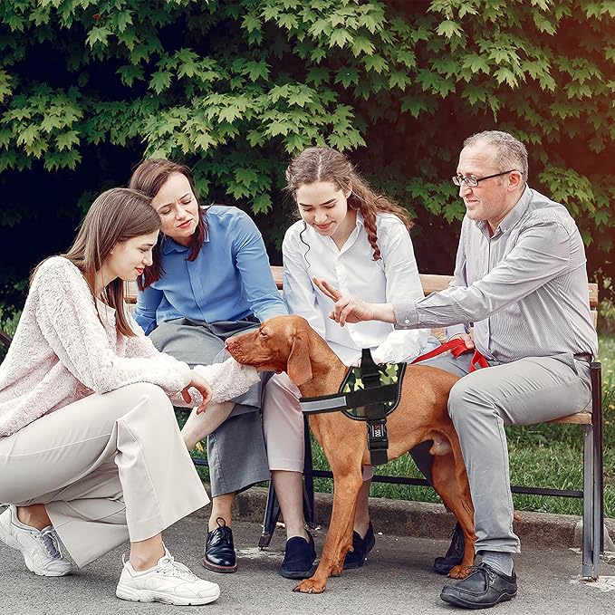 Dogline Dog Harness, Reflective No-Pull Adjustable Vest with Handle for Walking, Training, Breathable, No - Choke Harness for Small, Medium or Large Dogs Room for Patches Girth 18 to 24 in Green Camo