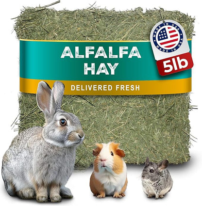5lb Freshly Dried Organic Alfalfa Hay for Guinea Pigs, Rabbits, Chinchillas, Goats, Hamsters & Ferrets, Small Animal Food Rich in Protein & Fiber, Hand-Selected, Hand Sorted, USA Grown