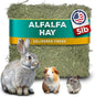 5lb Freshly Dried Organic Alfalfa Hay for Guinea Pigs, Rabbits, Chinchillas, Goats, Hamsters & Ferrets, Small Animal Food Rich in Protein & Fiber, Hand-Selected, Hand Sorted, USA Grown