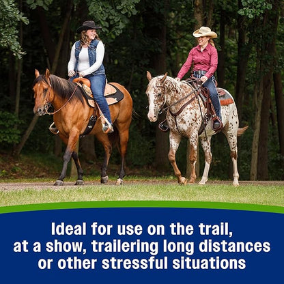 Farnam Apple Elite Electrolyte Paste Supplement for Horses, Replaces Vital Minerals, Encourages Hydration, No Added Sugar, 60 cc syringe