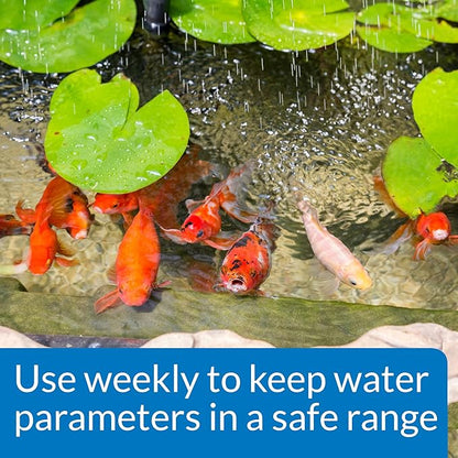 API POND MASTER TEST KIT Pond Water Test Kit 500-Test