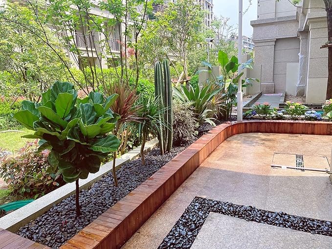 10 lbs Pebbles for Outdoor Landscaping, 1-2 inch Black River Rocks for Plants Indoor, Decorative Black Stones for Planters Vase Aquarium Rocks and Garden Rocks