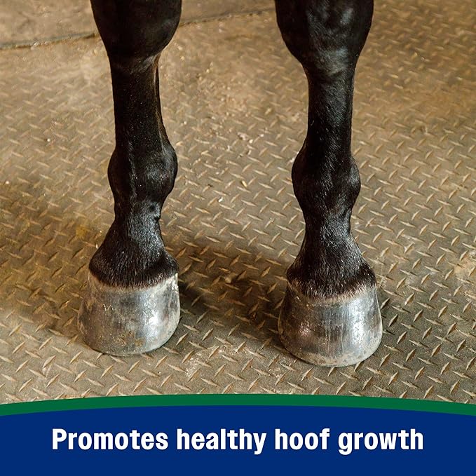 Farnam Horseshoer's Secret Pelleted Hoof Supplement for horses promotes healthy hoof growth, 11lb., 30 day supply